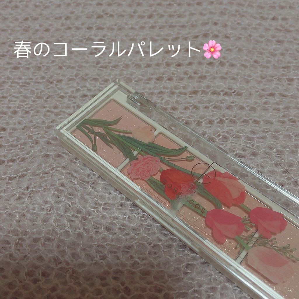 ベアシャドウパレット/フォレンコス/アイシャドウパレットを使ったクチコミ(1枚目)