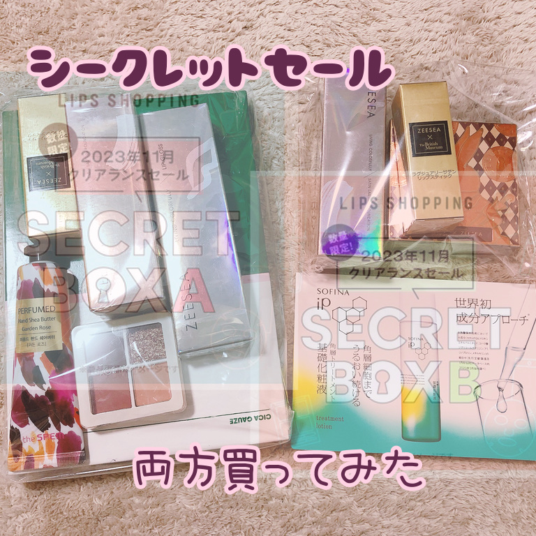 【2023年11月 クリアランスセール】シークレットボックス A/LIPS/その他キットセットを使ったクチコミ（1枚目）