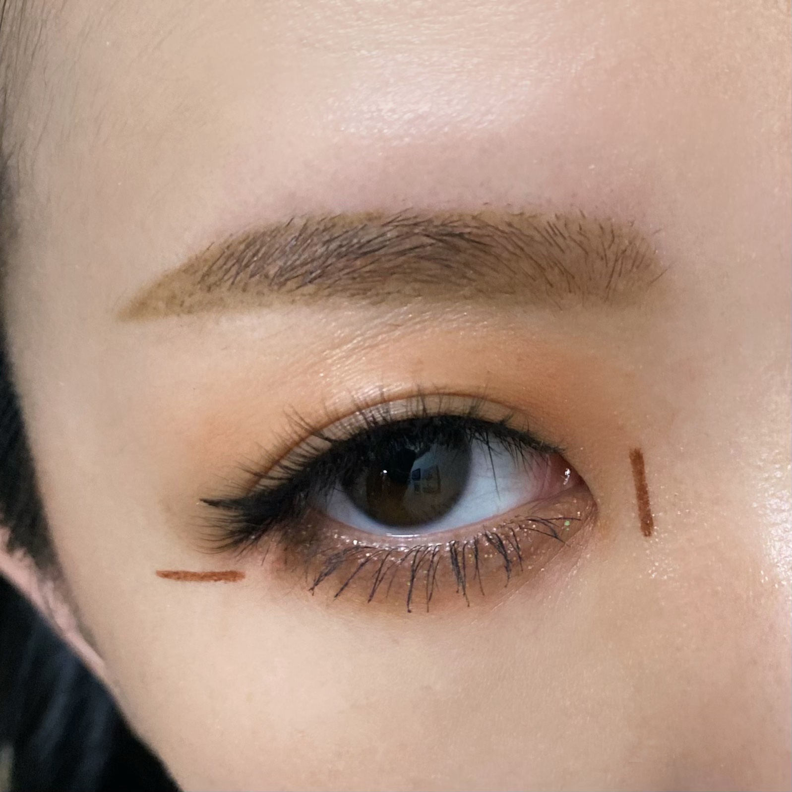 エクスプローラ12色 動物アイシャドウパレット/PERFECT DIARY/アイシャドウパレットを使ったクチコミ（2枚目）