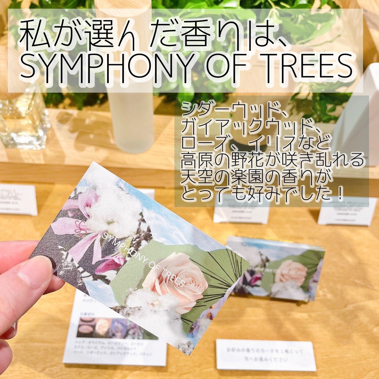 waniwaniコスメ@ふぉろば on LIPS 「BAUMブランド初のPOPUPイベントに参加しました!BAUM..」(5枚目)