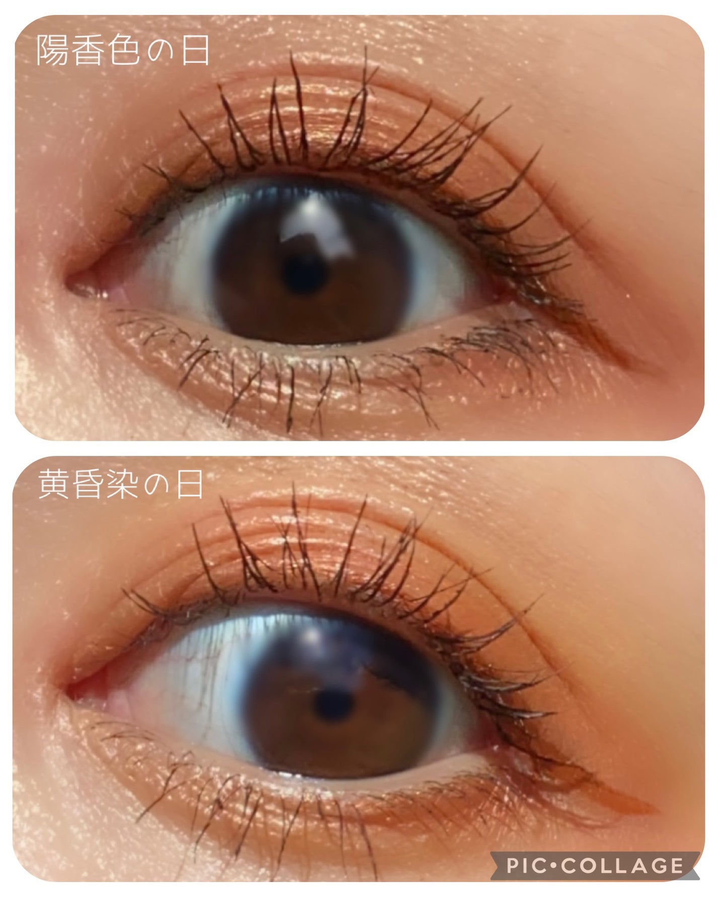 ラッシュニスタ プライマー/MAYBELLINE NEW YORK/マスカラ下地を使ったクチコミ(2枚目)