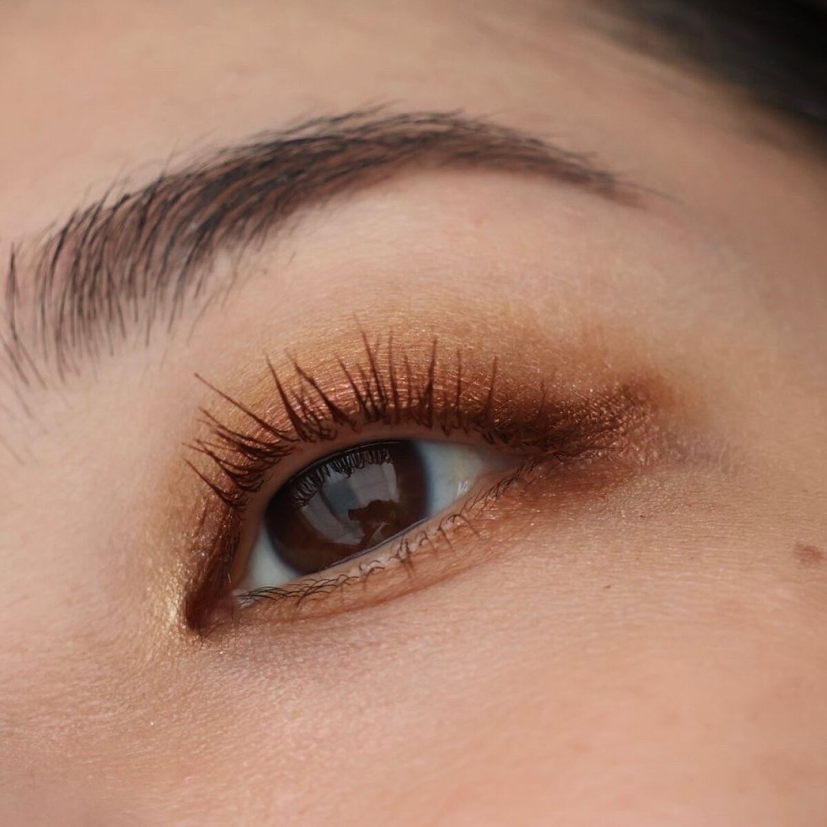 Limoncello Eyeshadow Palette/ColourPop/アイシャドウパレットを使ったクチコミ（3枚目）