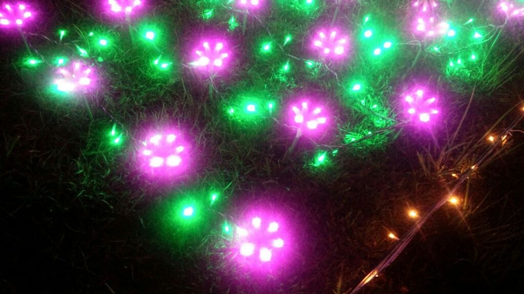 ニベア リッチケア＆カラーリップ/ニベア/リップクリームを使ったクチコミ（1枚目）