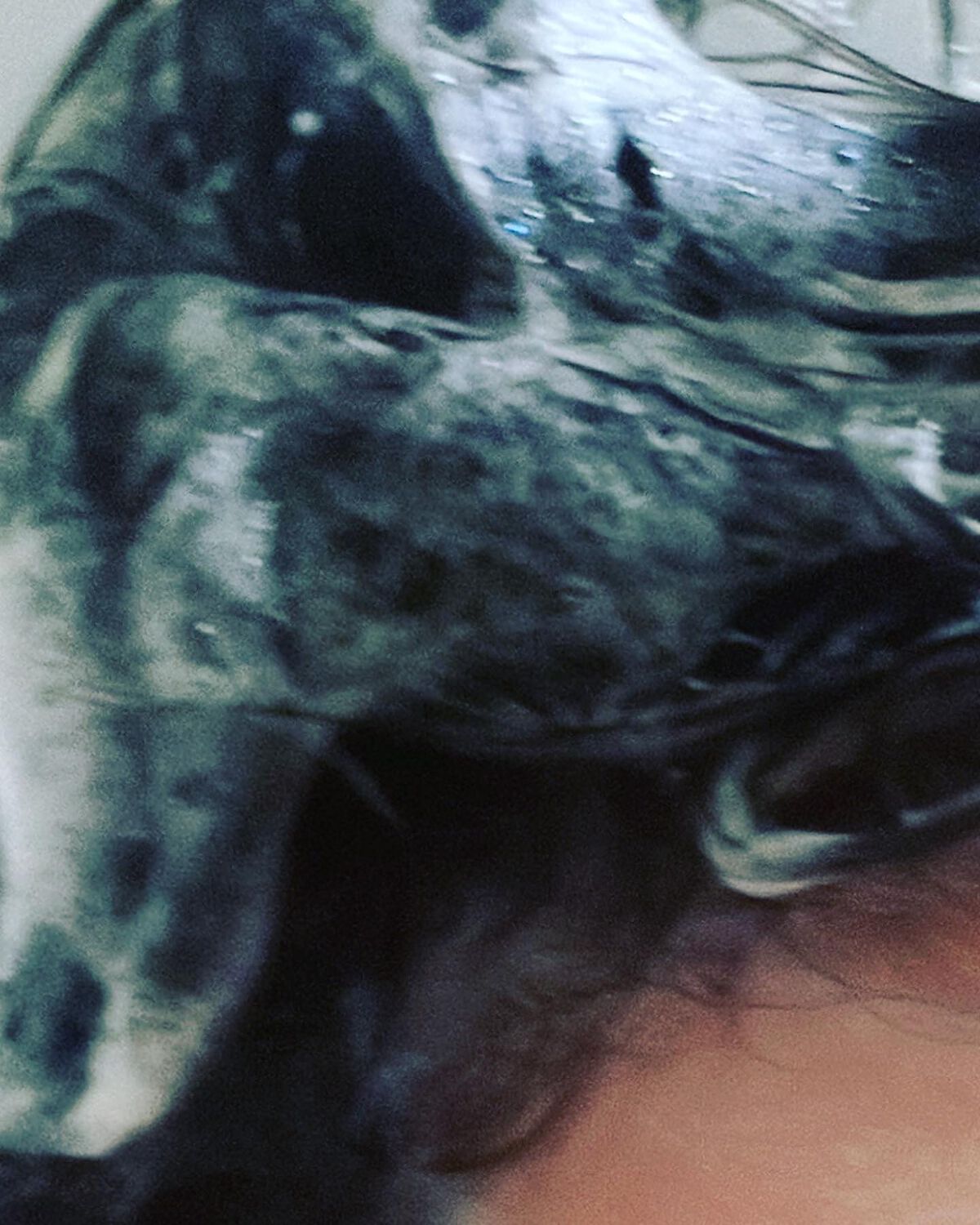 スカルプD ボーテ 薬用スカルプシャンプー （ボリューム）／薬用トリートメントパック （ボリューム）/アンファー(スカルプD)/市販シャンプーを使ったクチコミ（3枚目）