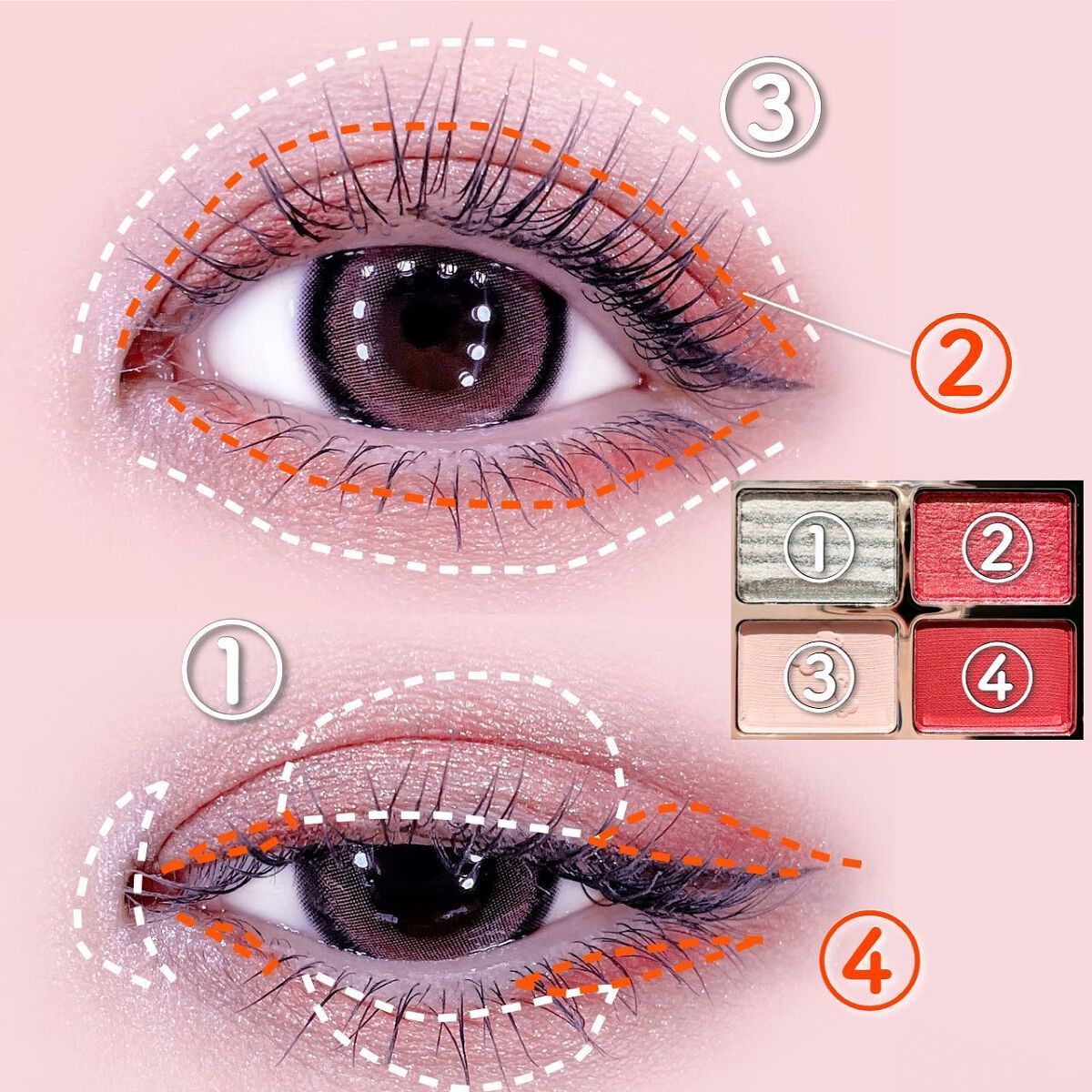 2023年春新作アイシャドウパレット】アニマルアイシャドウ(4シェード