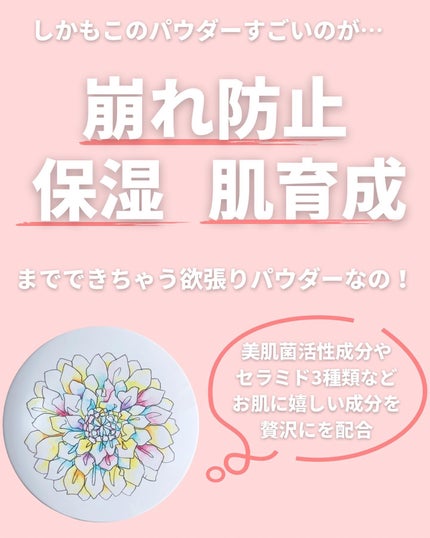 スキンプロポーショニングパウダー/Quince/プレストパウダーを使ったクチコミ(5枚目)