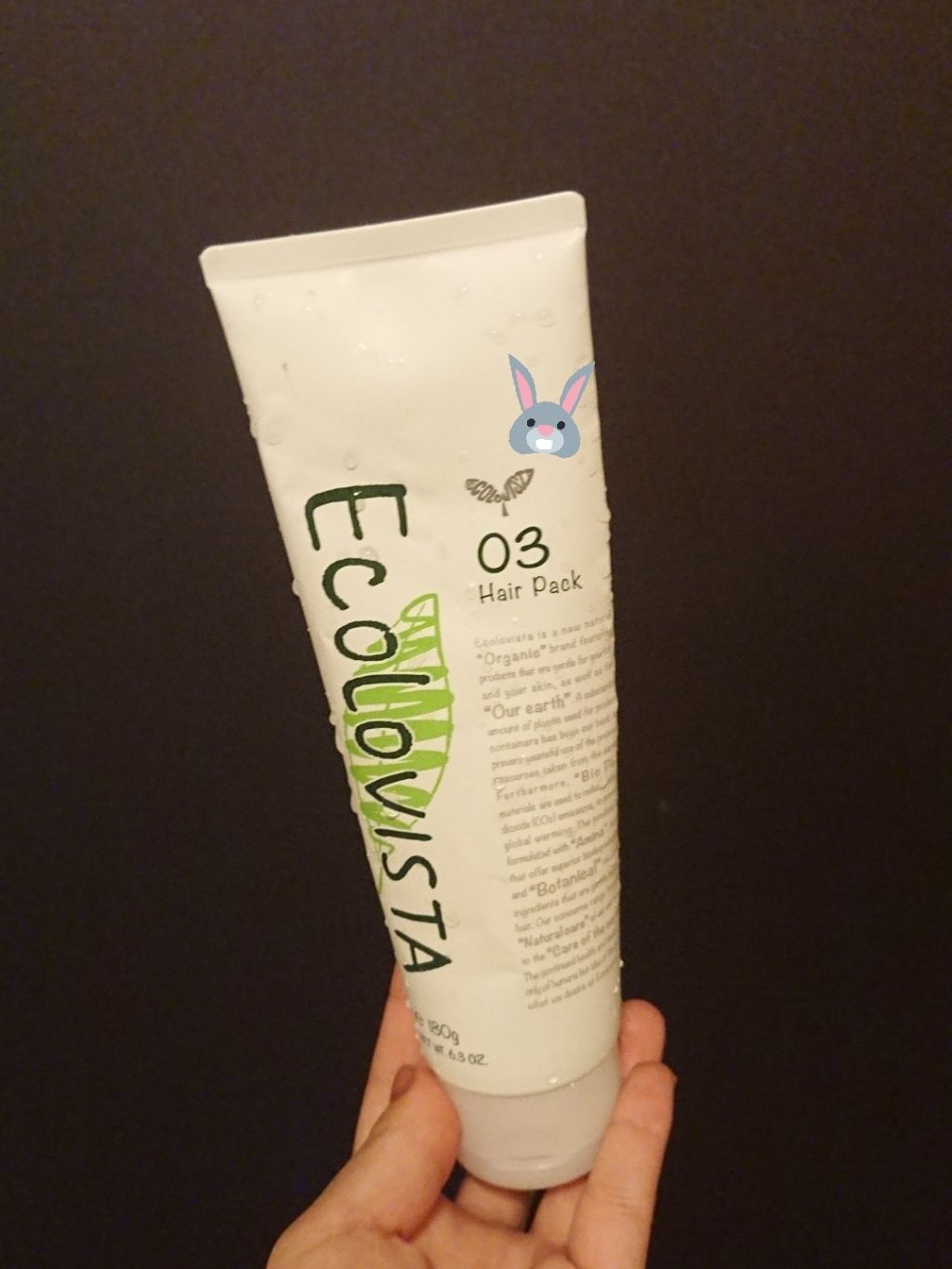 ヘアパック/ECOLOVISTA（エコロヴィスタ）/ヘアマスク・ヘアパックを使ったクチコミ（1枚目）