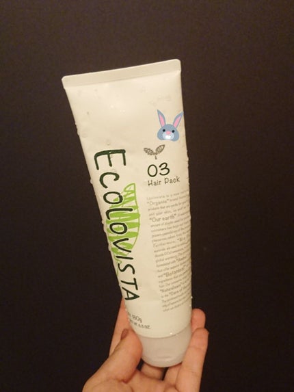 ヘアパック/ECOLOVISTA(エコロヴィスタ)/ヘアマスク・ヘアパックを使ったクチコミ(1枚目)