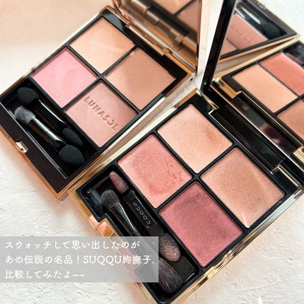 ルナソル アイカラーレーションN/LUNASOL/アイシャドウパレットを使ったクチコミ(10枚目)