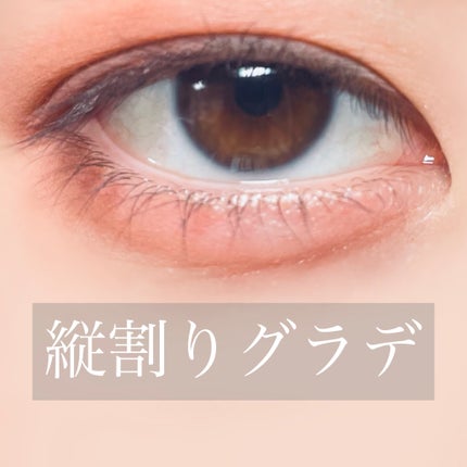 パーフェクトマルチアイズ/キャンメイク/アイシャドウパレットを使ったクチコミ(1枚目)