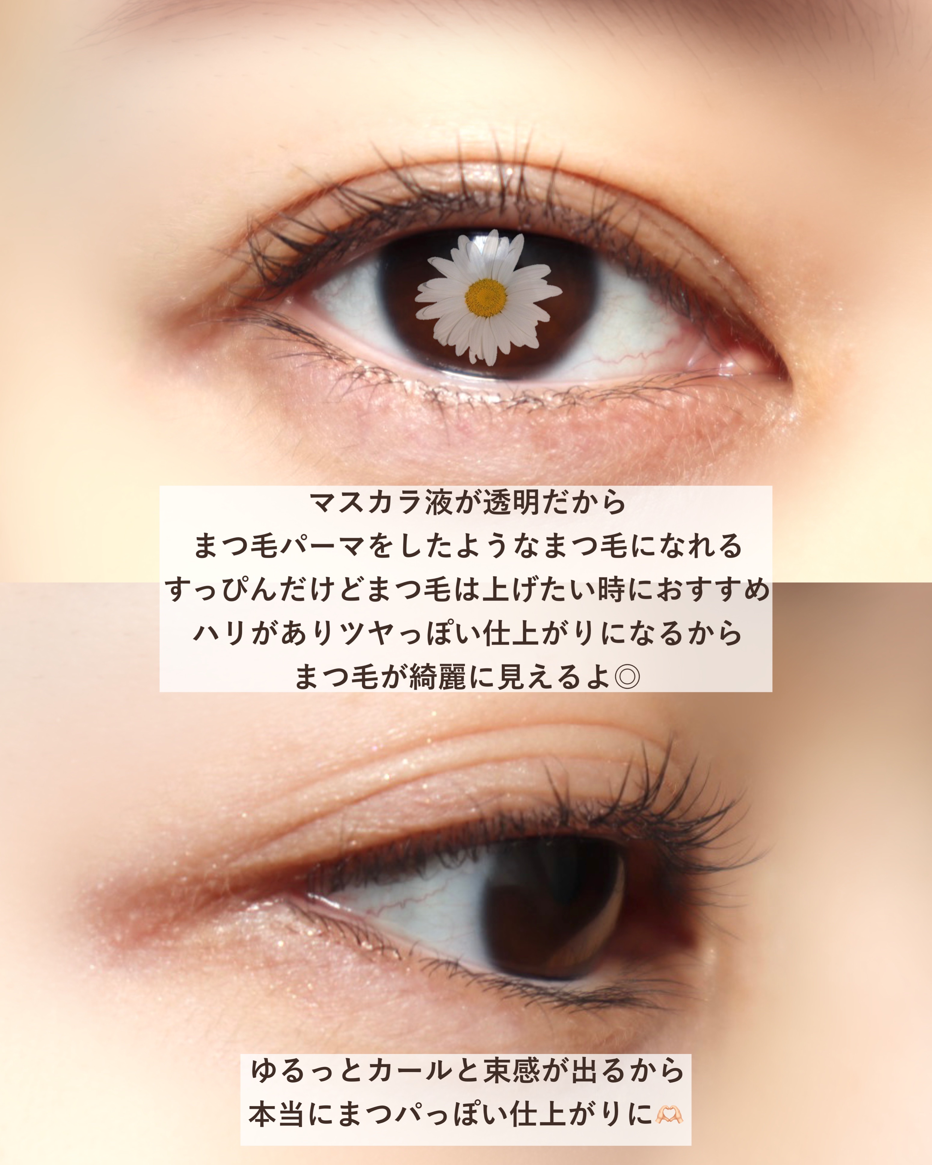 クリア マスカラR/CEZANNE/マスカラ下地を使ったクチコミ（2枚目）
