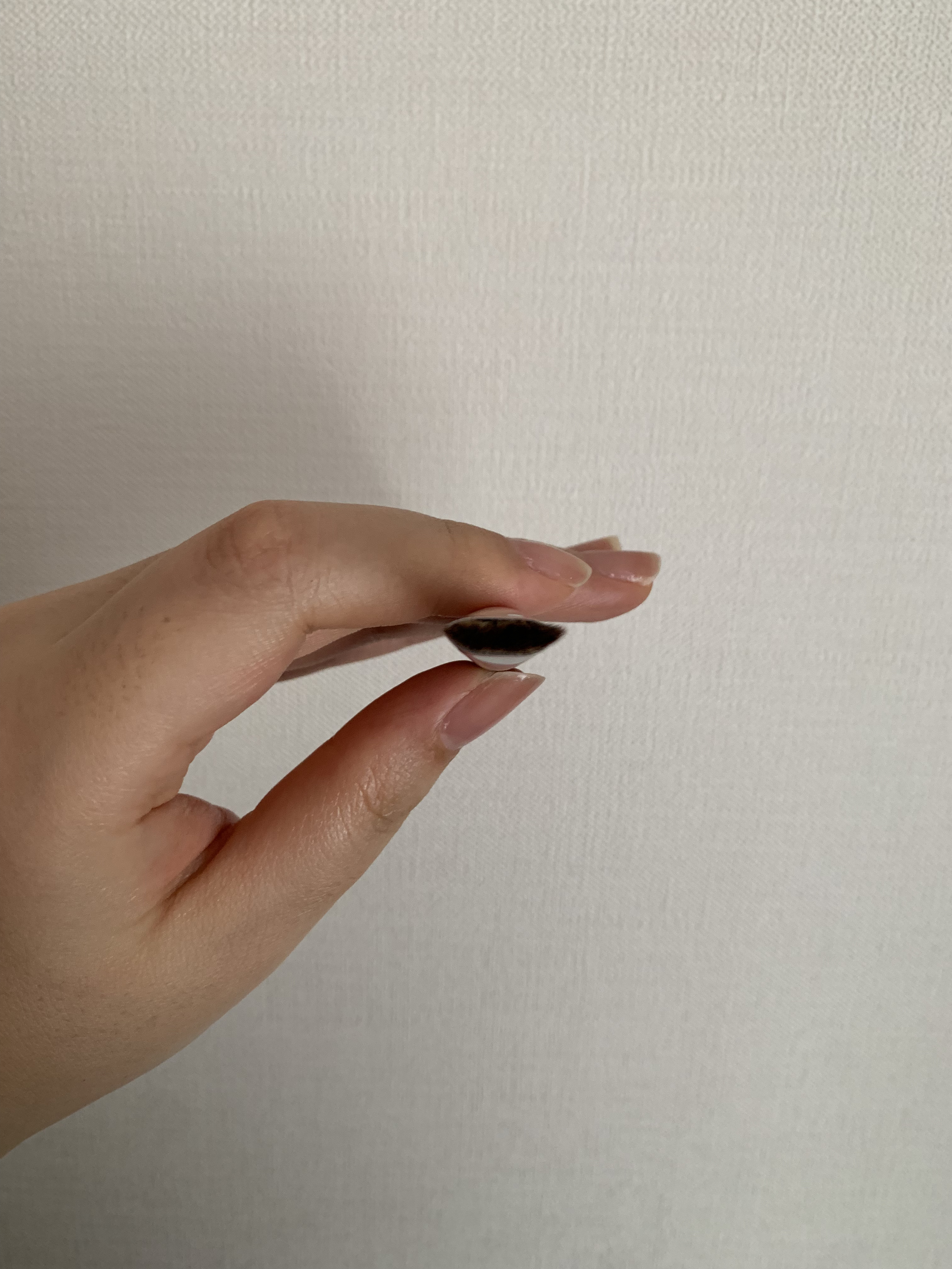 ロージーローザ ダブルエンドアイブロウブラシ スマッジタイプのクチコミ「ロージーローザ ダブルエンドアイブロウブラシ スマッジタイプ 770円(税込)


不器用+眉.....」（3枚目）