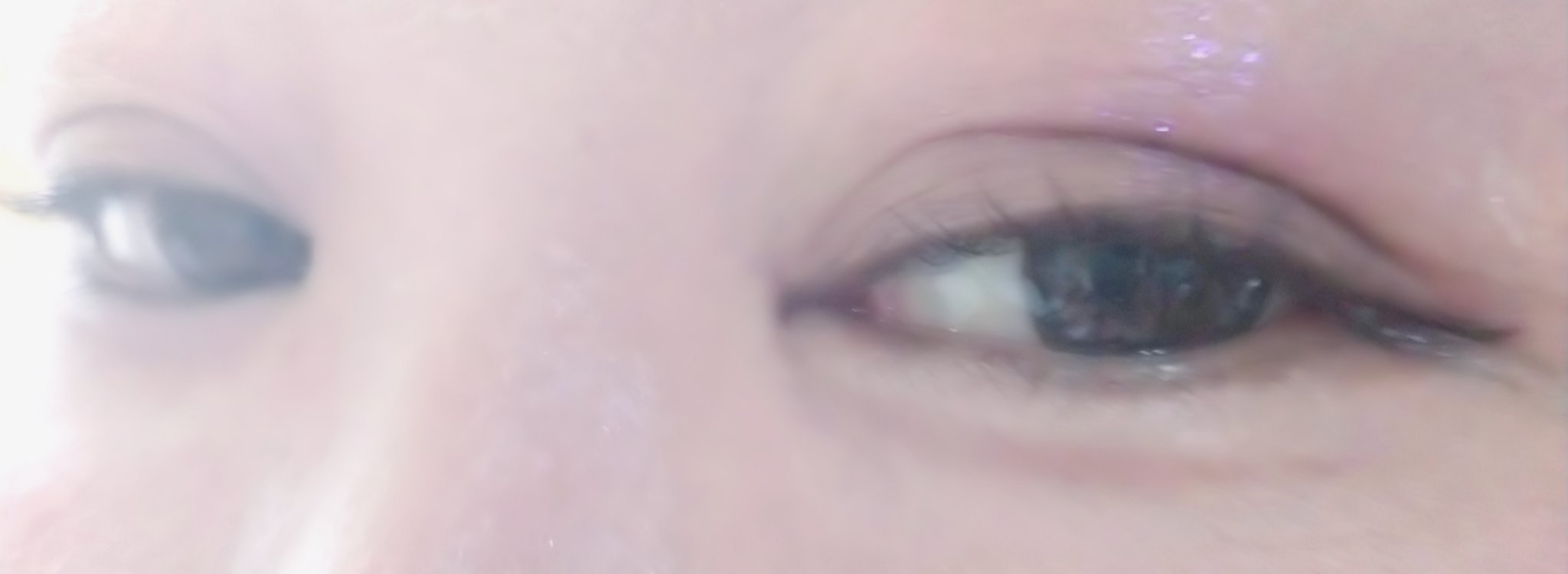 ソフトブラーリングアイパレット/wakemake/アイシャドウパレットを使ったクチコミ（3枚目）