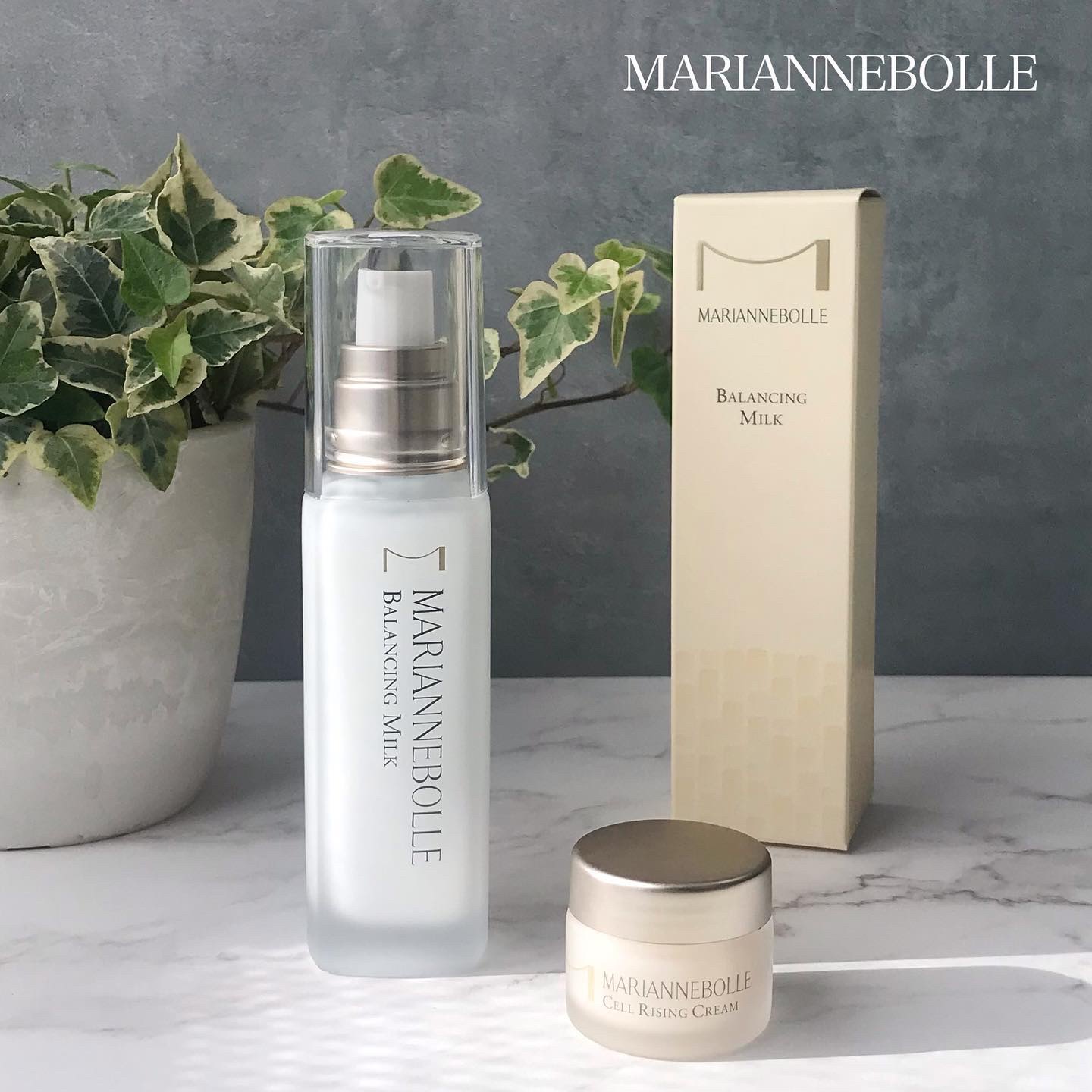 バランシングミルク/マリアンボレ/乳液を使ったクチコミ（1枚目）