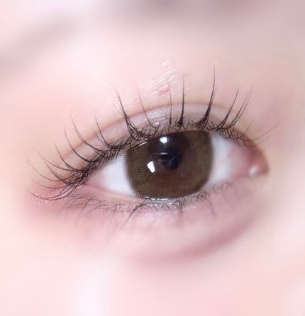 melotte 1day ヒロインルール/melotte/ワンデー(1DAY)カラコンの画像