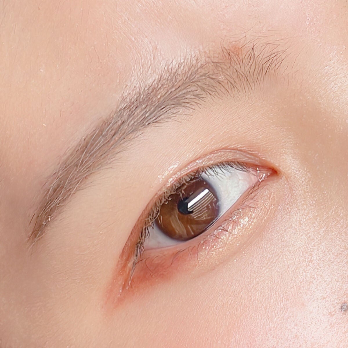 ニューデップスアイシャドウパレット/hince/アイシャドウパレットを使ったクチコミ(5枚目)