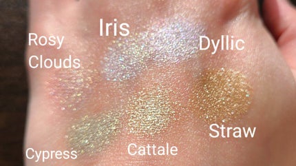 油絵紫穂麦畑20色アイシャドウ/JUDYDOLL/アイシャドウパレットを使ったクチコミ(5枚目)