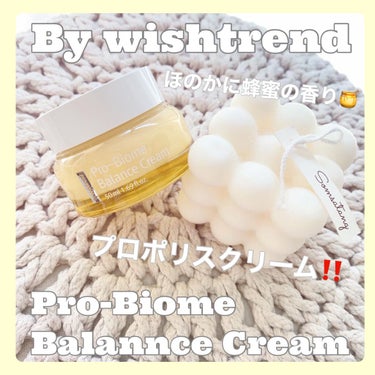 プロバイオームバランスクリーム/By Wishtrend/フェイスクリームを使ったクチコミ（1枚目）