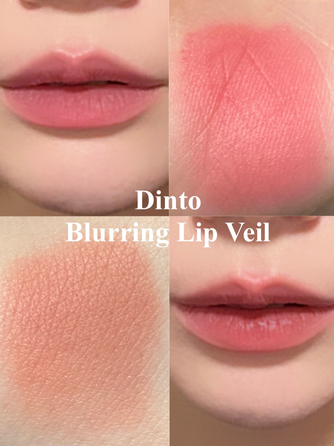 マダムバタフライコレクション ブラーニングリップベール/Dinto/口紅を使ったクチコミ（1枚目）