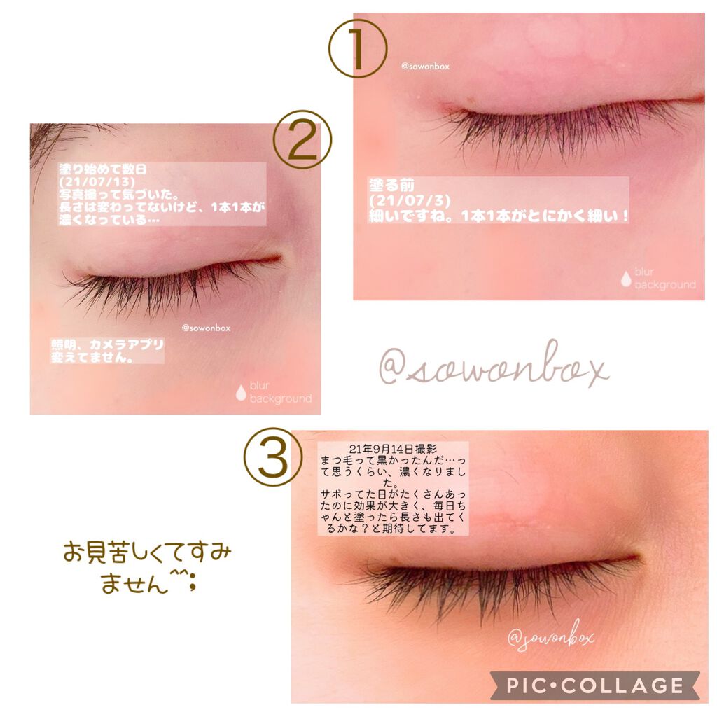 トゥルーアイラッシュセラム/mude./まつげ美容液を使ったクチコミ（2枚目）