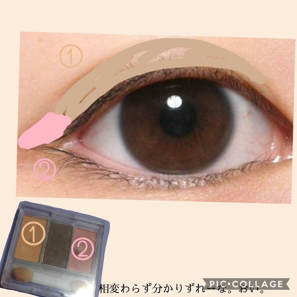 カンコレアイシャドウ/DAISO/アイシャドウパレットを使ったクチコミ(3枚目)