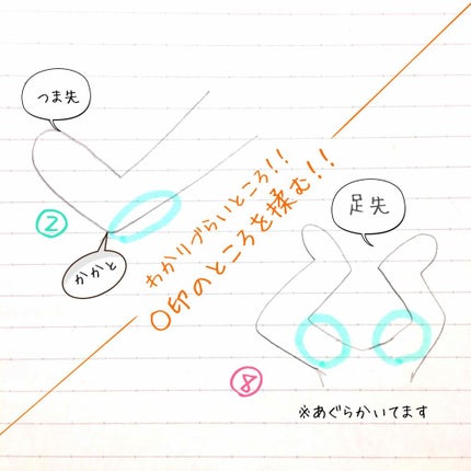 ハトムギ化粧水(ナチュリエ スキンコンディショナー R )/ナチュリエ/化粧水を使ったクチコミ(3枚目)