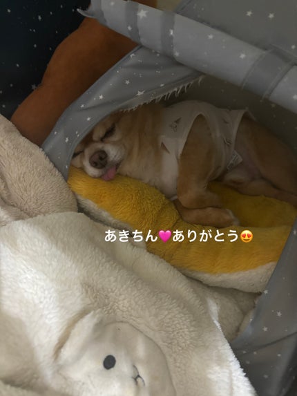 Bright ホワイト メラノリーチ エッセンス マスク/N organic/シートマスク・パックを使ったクチコミ(10枚目)