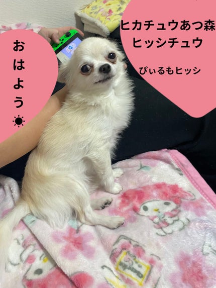 マイリアル スクイーズ マスクシート/innisfree/シートマスク・パックを使ったクチコミ(6枚目)