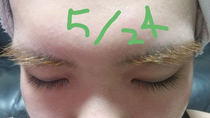 エクストラビューティ アイラッシュトニック/DHC/まつげ美容液を使ったクチコミ(3枚目)