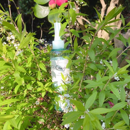 ウォータートリートメント クール/ビネガーデン/洗い流すヘアトリートメントを使ったクチコミ(7枚目)