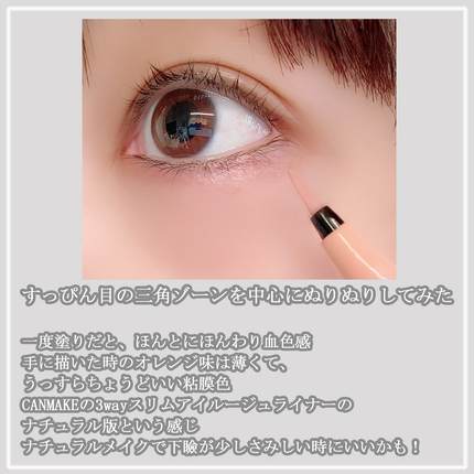 エテュセ アイエディション(リキッドライナー)/ettusais/リキッドアイライナーを使ったクチコミ(3枚目)
