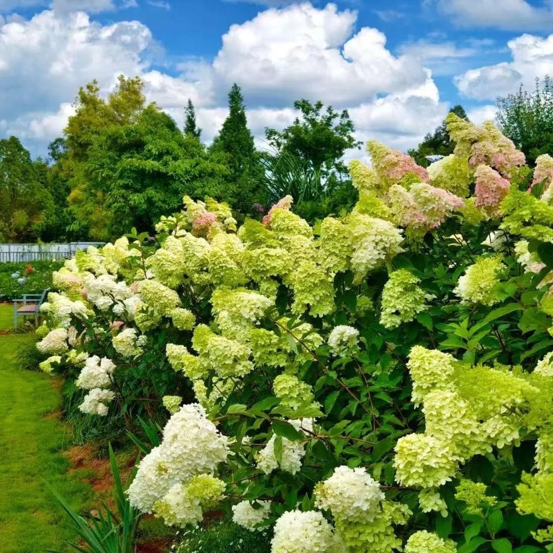 ミノン アミノモイスト モイストチャージ クリーム/ミノン/フェイスクリームを使ったクチコミ(5枚目)