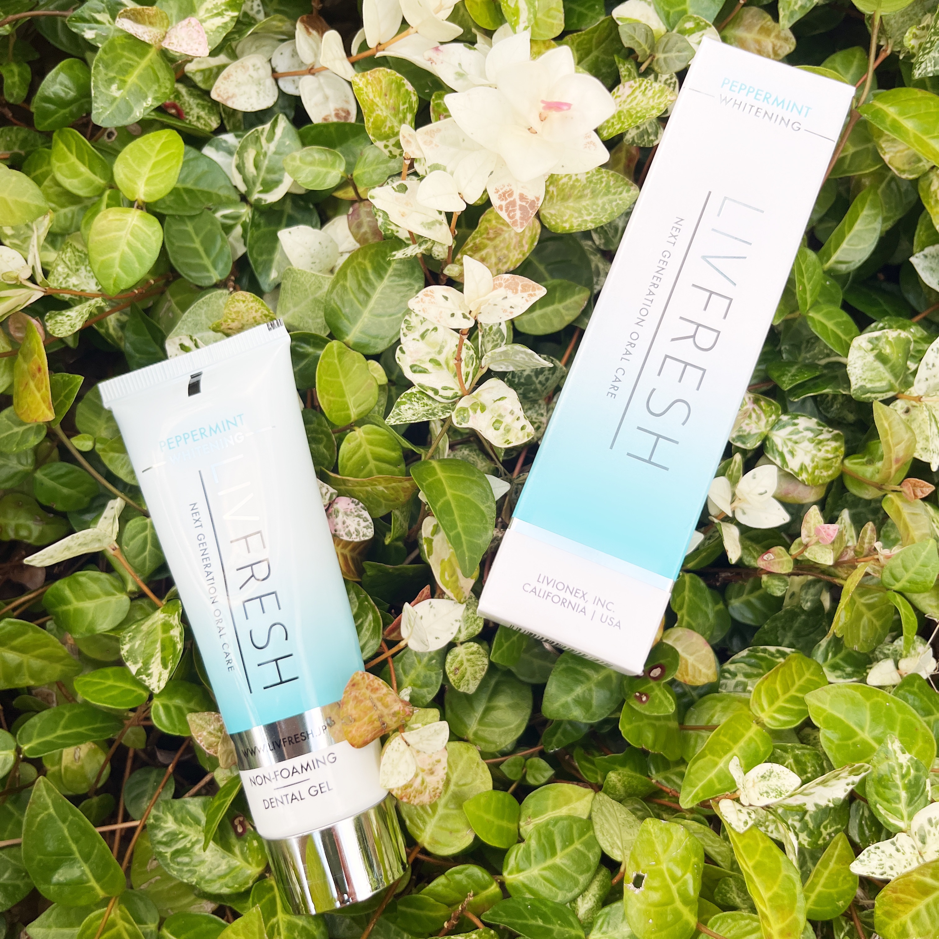 リブフレッシュ オーラルジェル/リブフレッシュ /歯磨き粉を使ったクチコミ（2枚目）