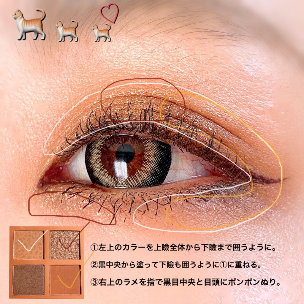 Venus Marble アイシャドウキャットシリーズ/Venus Marble/アイシャドウパレットを使ったクチコミ(7枚目)