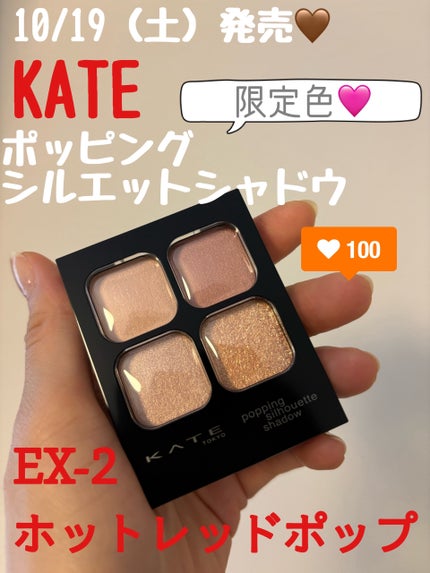ダブルラインエキスパート(血色陰影カラー)/KATE/リキッドアイライナーを使ったクチコミ(1枚目)