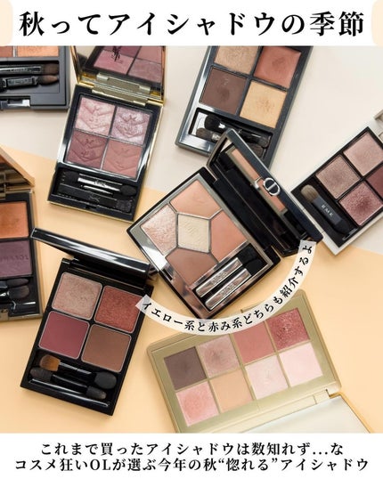 アイカラーレーション/LUNASOL/アイシャドウパレットを使ったクチコミ(2枚目)