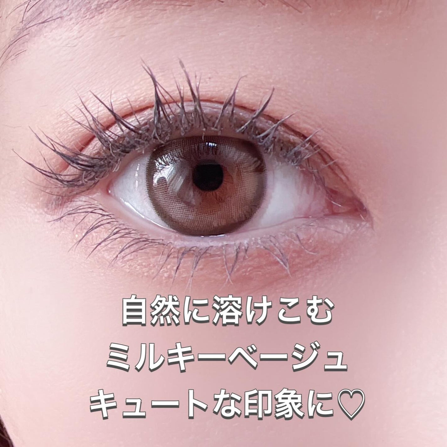 エバーカラーワンデーミリモア/エバーカラー/ワンデー(1DAY)カラコンを使ったクチコミ(3枚目)