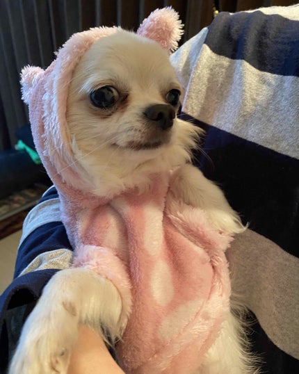 チョコラBBドリンクビット(医薬品)/チョコラBB/その他を使ったクチコミ(9枚目)