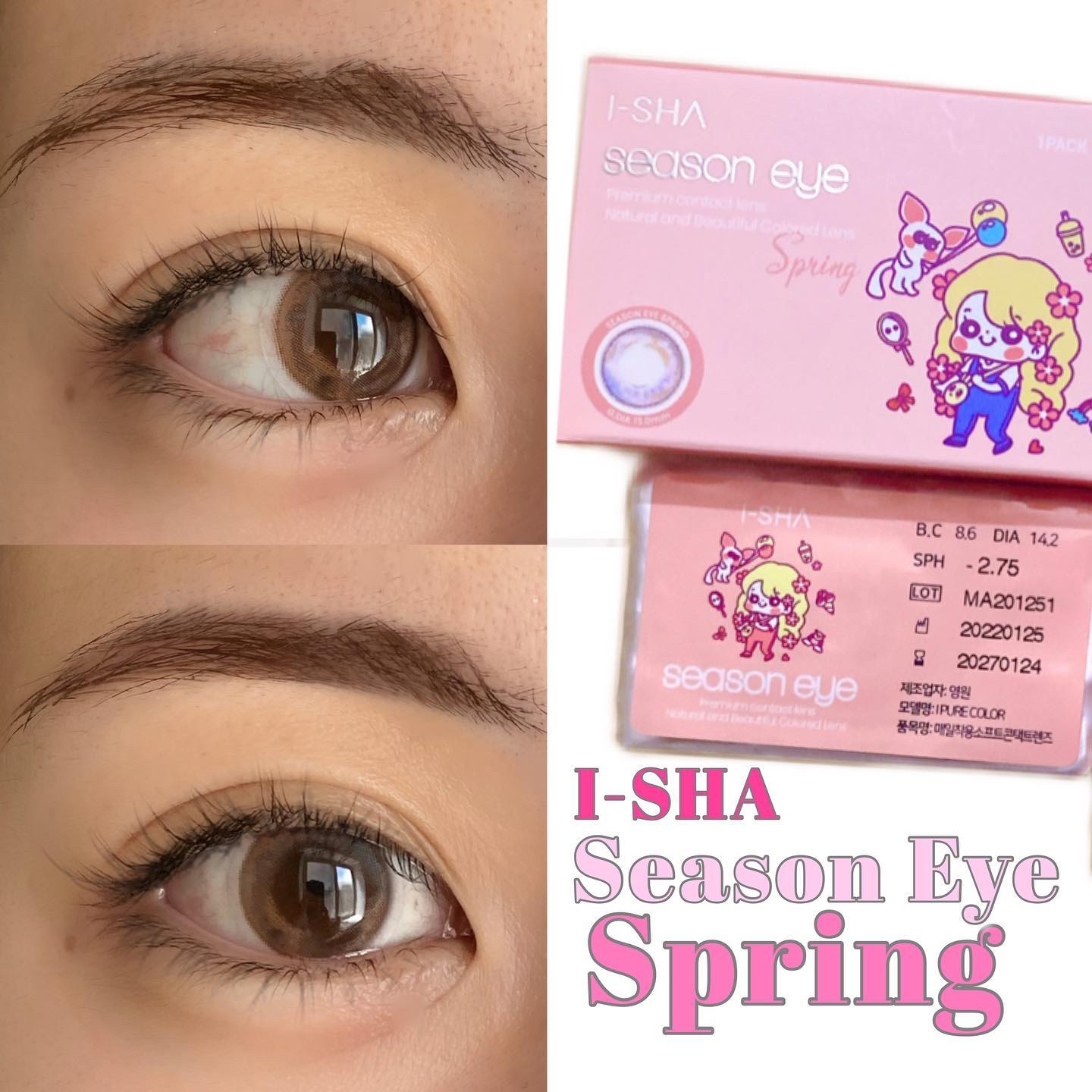 i-shaアイシャ Season Eye スプリング/蜜のレンズ/カラーコンタクトレンズを使ったクチコミ（1枚目）