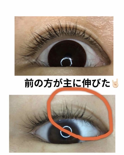 ラッシュジェリードロップ EX/MAJOLICA MAJORCA/まつげ美容液を使ったクチコミ(2枚目)