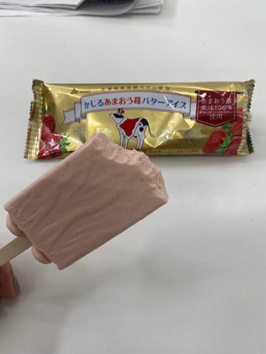 新発売🍓🍓🍓

かじるあまおう🍓バターアイス
少し前に、かじるバター🧈アイスが発売に
なって話題だった。
いちごバージョン、しかもあまおう🍓

めちゃくちゃ美味しくてはまりそう🤤🤤

ちょっとした、息抜