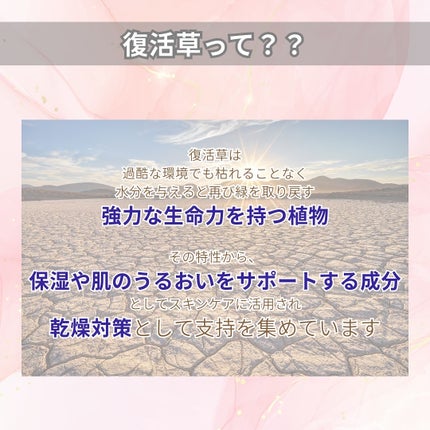 復活草クリーム ニュートリションチューブ/Abib /フェイスクリームを使ったクチコミ(3枚目)