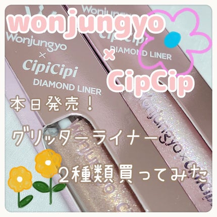 ウォンジョンヨ ダイヤモンドライナー/Wonjungyo/リキッドアイシャドウを使ったクチコミ(1枚目)