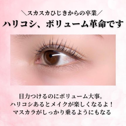 アイラッシュセラム/PHOEBE BEAUTY UP/まつげ美容液を使ったクチコミ(3枚目)