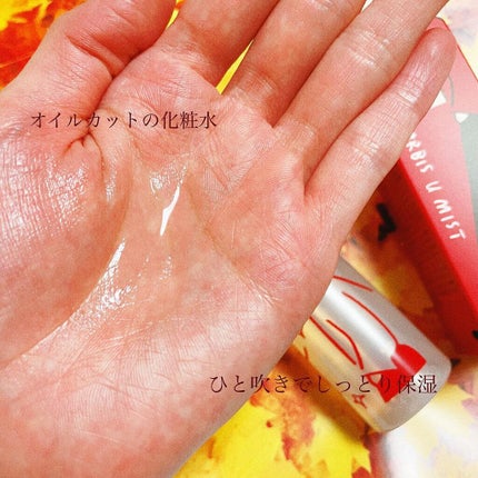 オルビスユー ミスト/オルビス/ミスト状化粧水を使ったクチコミ(4枚目)