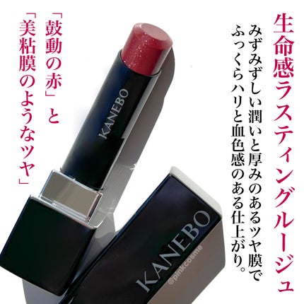 ルージュスターヴァイブラント/KANEBO/口紅を使ったクチコミ(3枚目)