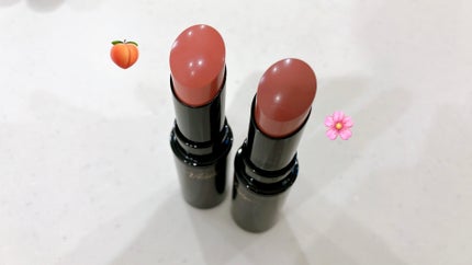 ネンマクフェイク ルージュ/Visée/口紅を使ったクチコミ(2枚目)