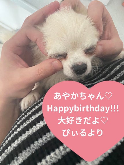 ジューシーピュアアイズ/キャンメイク/アイシャドウパレットを使ったクチコミ(7枚目)