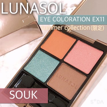 アイカラーレーション EX11 Souk（限定発売）/LUNASOL/アイシャドウパレットを使ったクチコミ（1枚目）