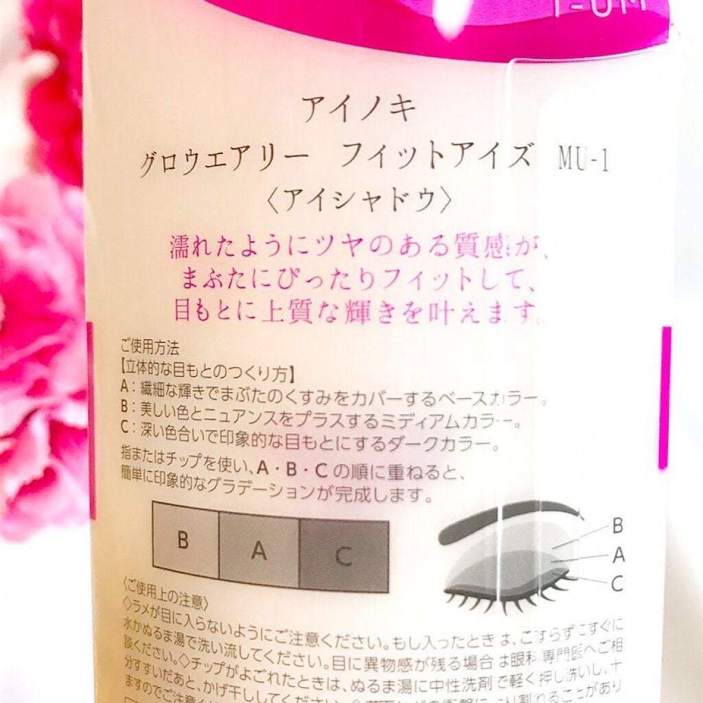 グロウエアリーフィットアイズ/AINOKI/アイシャドウパレットを使ったクチコミ(6枚目)